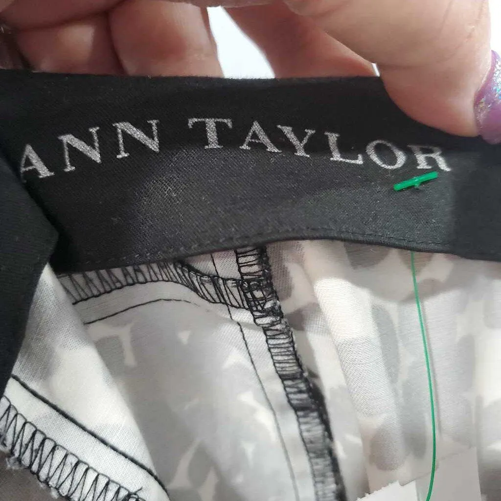 Ann Taylor Skirt 14