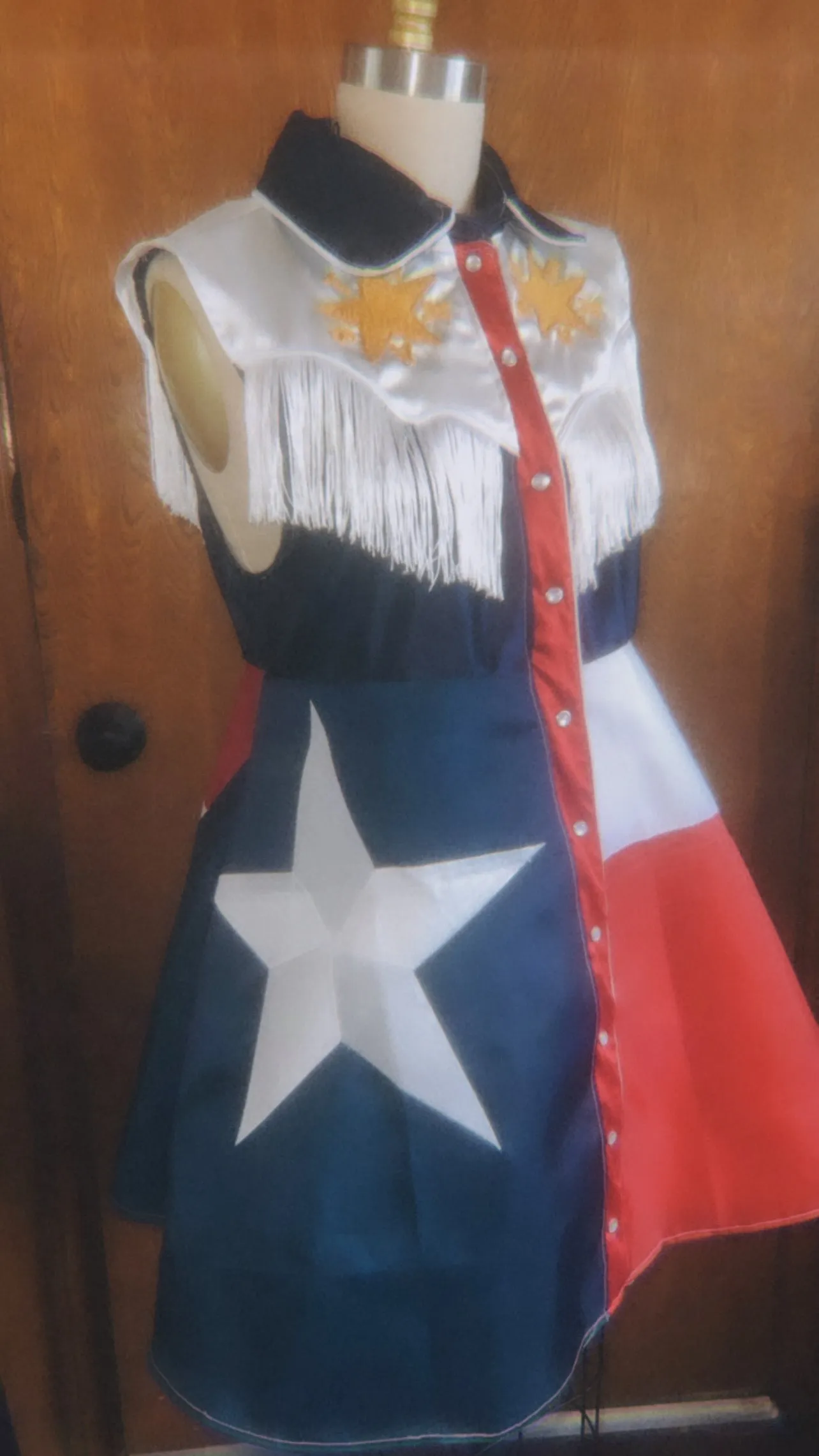 Don’t Tread On Me Texas Flag Embroidered Dress