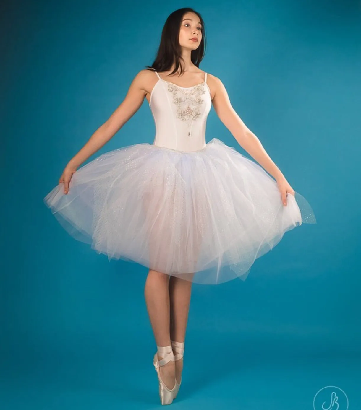 Romantic tutu dress - Snowflake or Snow Queen- Hire only